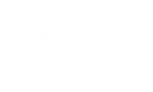 Bam Logo